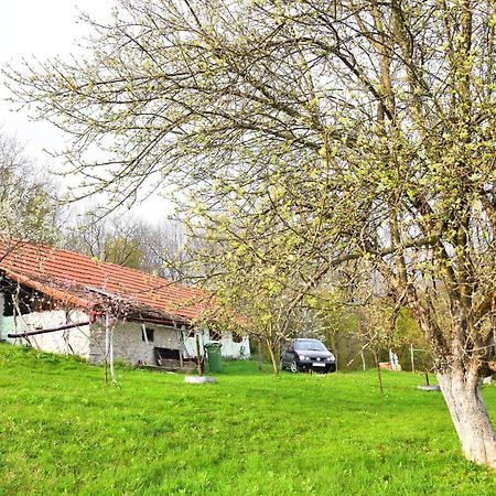 Iabalcea La Salasul Fermecat In Cheile Carasului מראה חיצוני תמונה