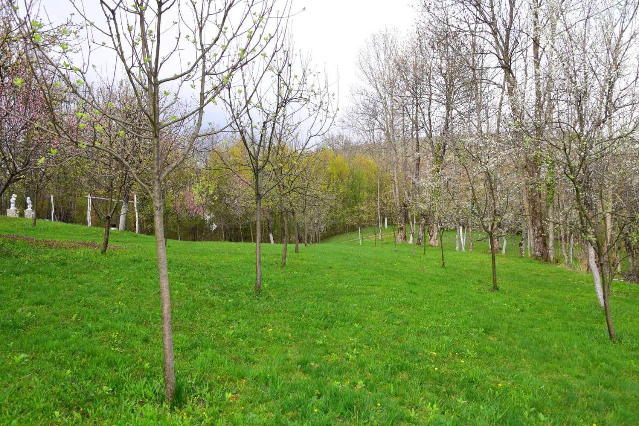 Iabalcea La Salasul Fermecat In Cheile Carasului מראה חיצוני תמונה