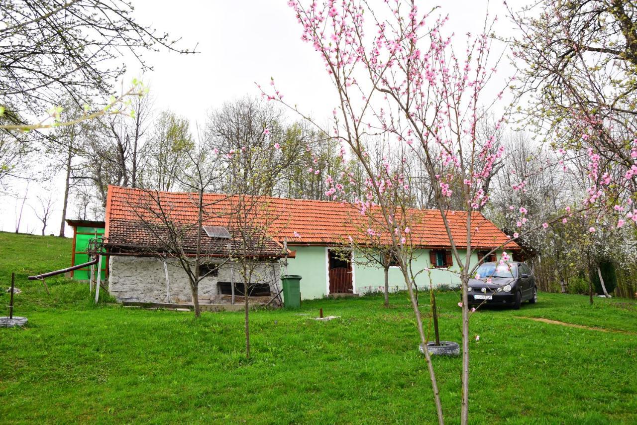 Iabalcea La Salasul Fermecat In Cheile Carasului מראה חיצוני תמונה