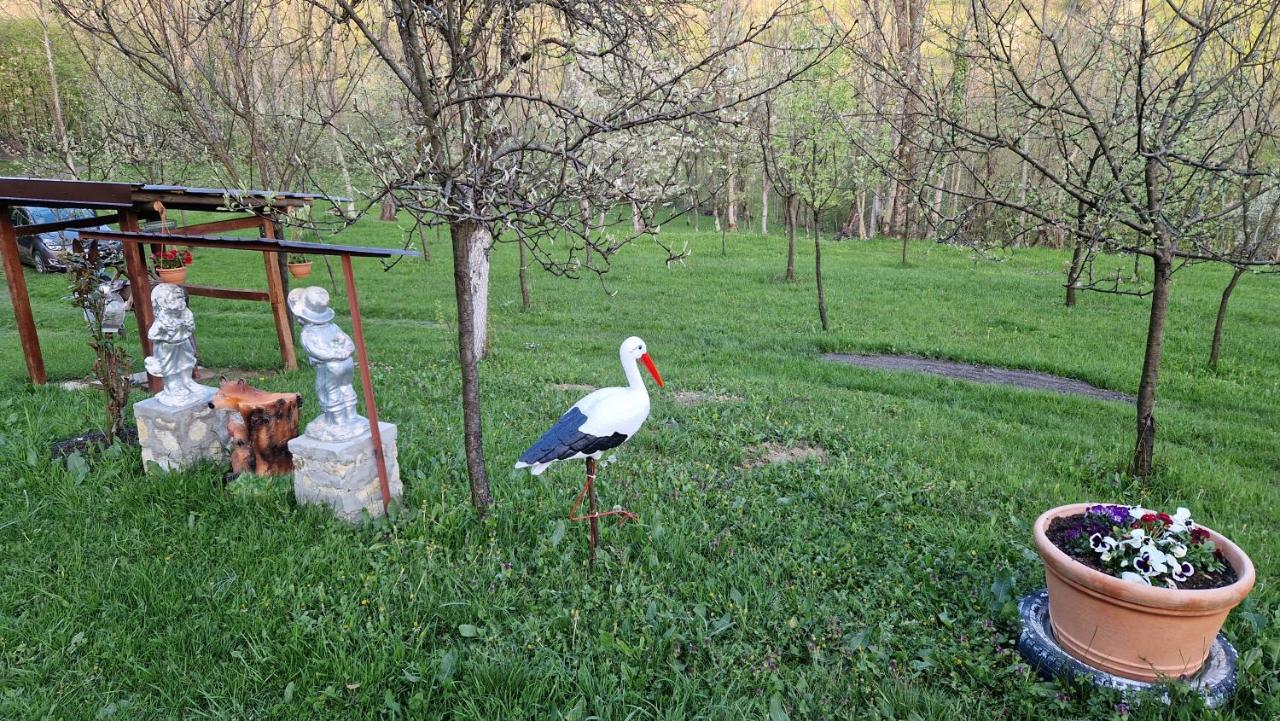 Iabalcea La Salasul Fermecat In Cheile Carasului מראה חיצוני תמונה